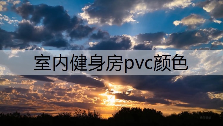 室内健身房pvc颜色