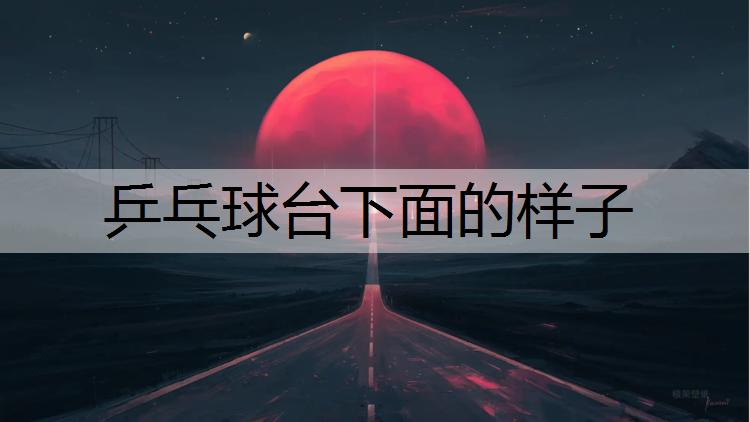 乒乓球台下面的样子